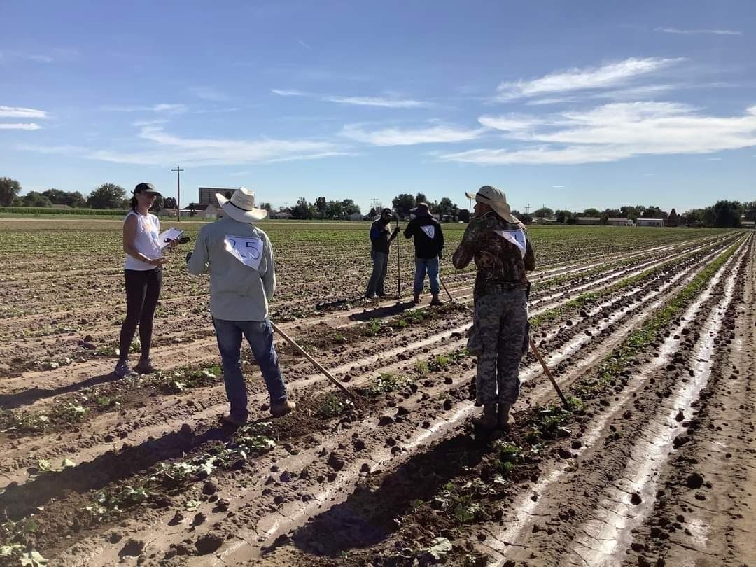 Federica Masci conducting ergonomic field research with farmworkers in Colorado