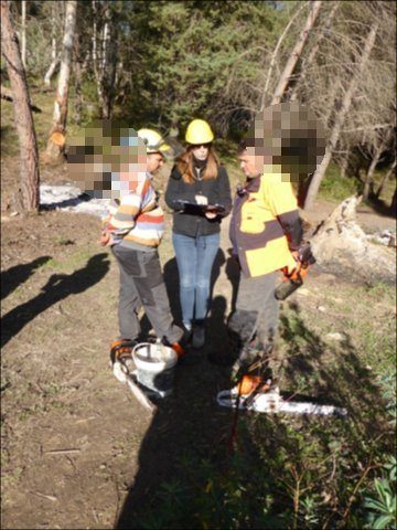 Federica Masci conducting ergonomic assessment with forestry workers